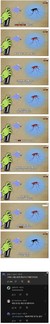 배짱이
